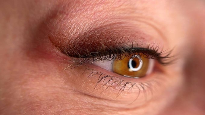 WhatsApp Image 2024-03-02 at 16.29.48_6c9513f1